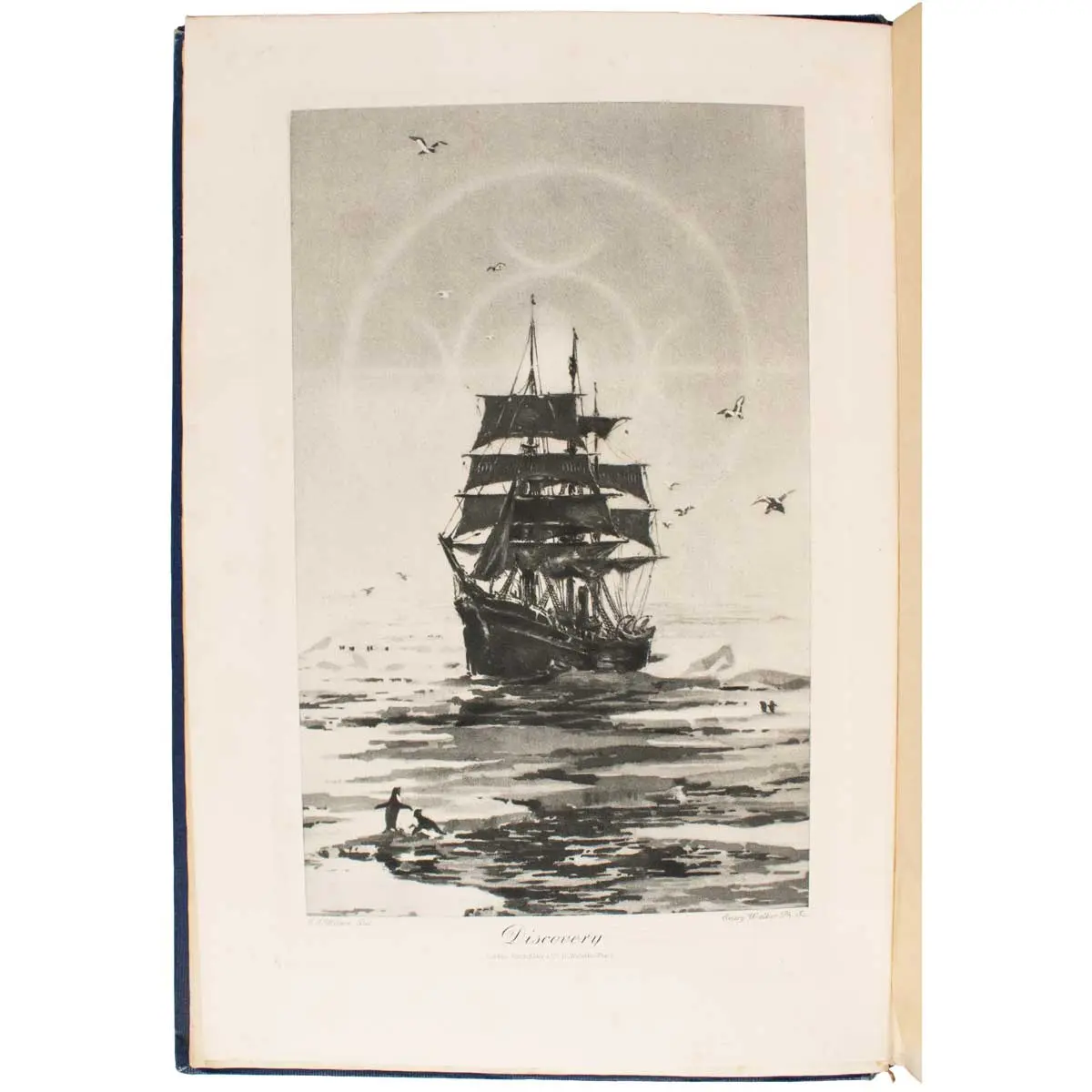 The Voyage of the ‘Discovery’ (5)