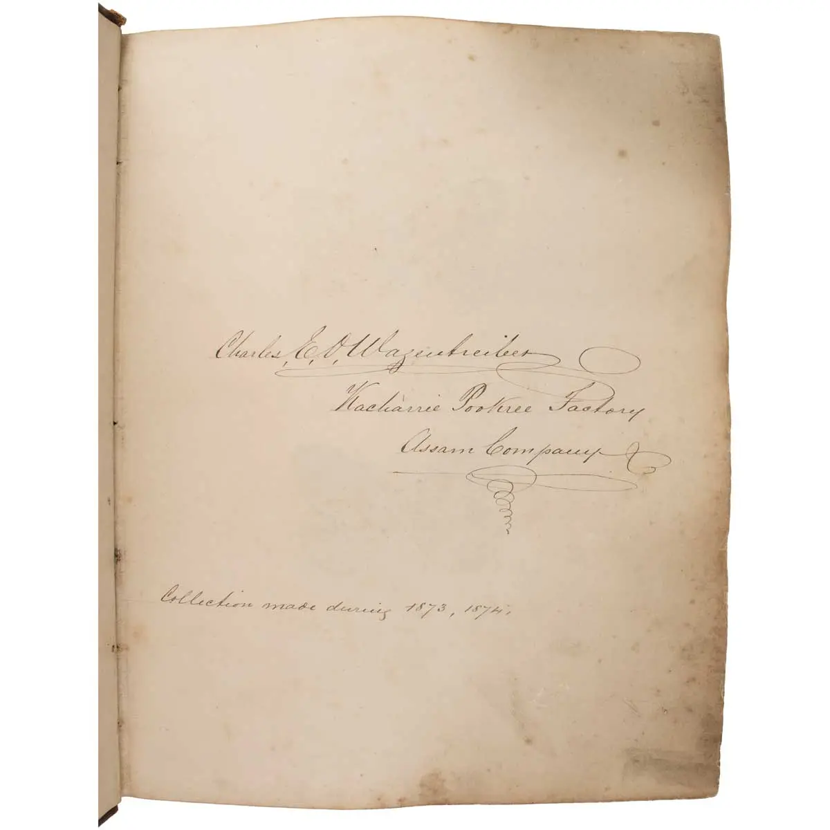 Important Collection of Original Nature Printed Drawings of Indian Butterflies & Moths (7)