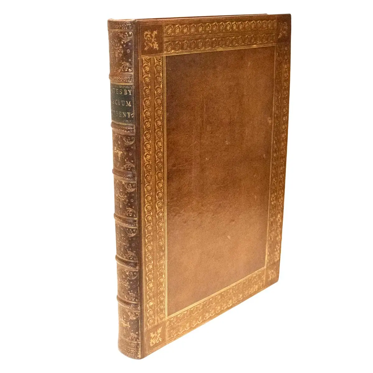 Piscium Serpentum Insectorum aliorumque nonnullorum animalium nec non plantarum quarundam imagines quas Marcus Catesby in posteriore parte splendidi illius operis quo Carolinae Floridae et (2)