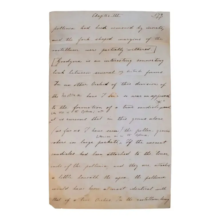 Manuscript Leaf From Chapter III of “On the Various Contrivances by which British and Foreign Orchids are fertilised by Insects and on the good effects of intercrossing.”