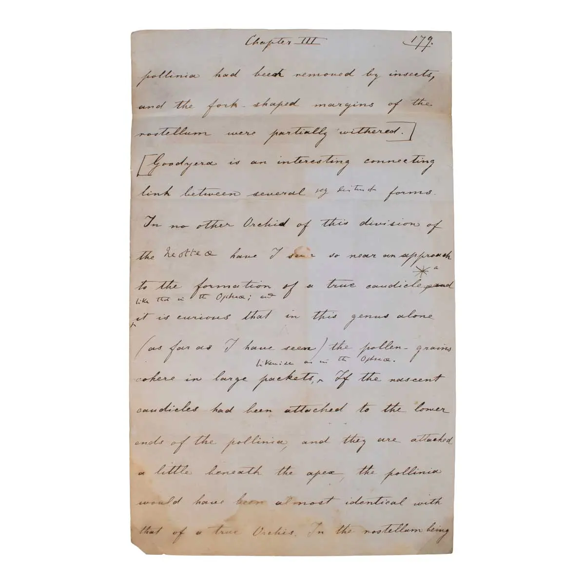 Manuscript Leaf From Chapter III of “On the Various Contrivances by which British and Foreign Orchids are fertilised by Insects and on the good effects of intercrossing.”