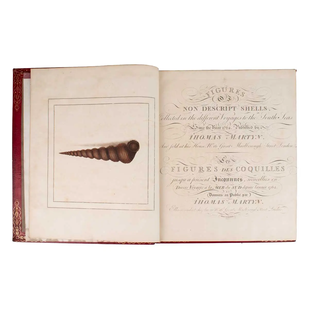 Figures of non-descript Shells collected in the different Voyages to the South Seas since the year 1764 …[vols.I &II] The Universal Conchologist, exhibiting the Figure of every known Shell (7)