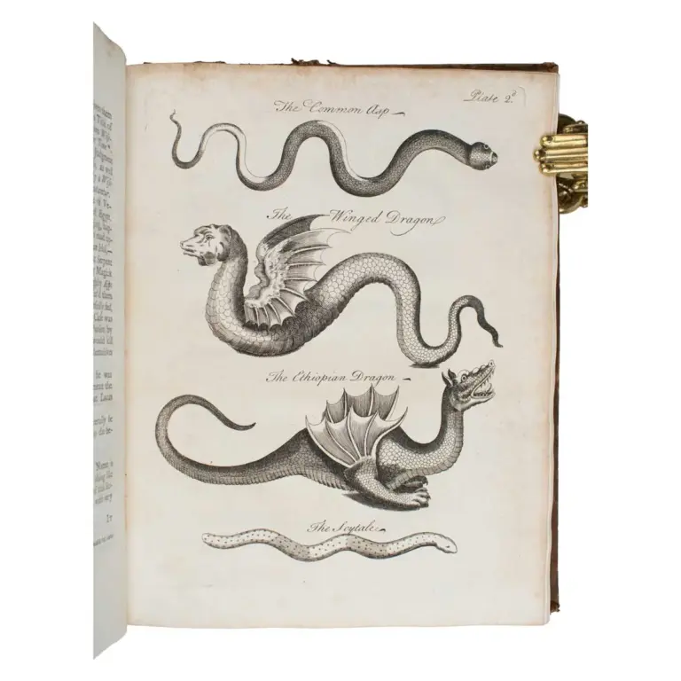 An essay towards a Natural History of Serpents: In Two Parts