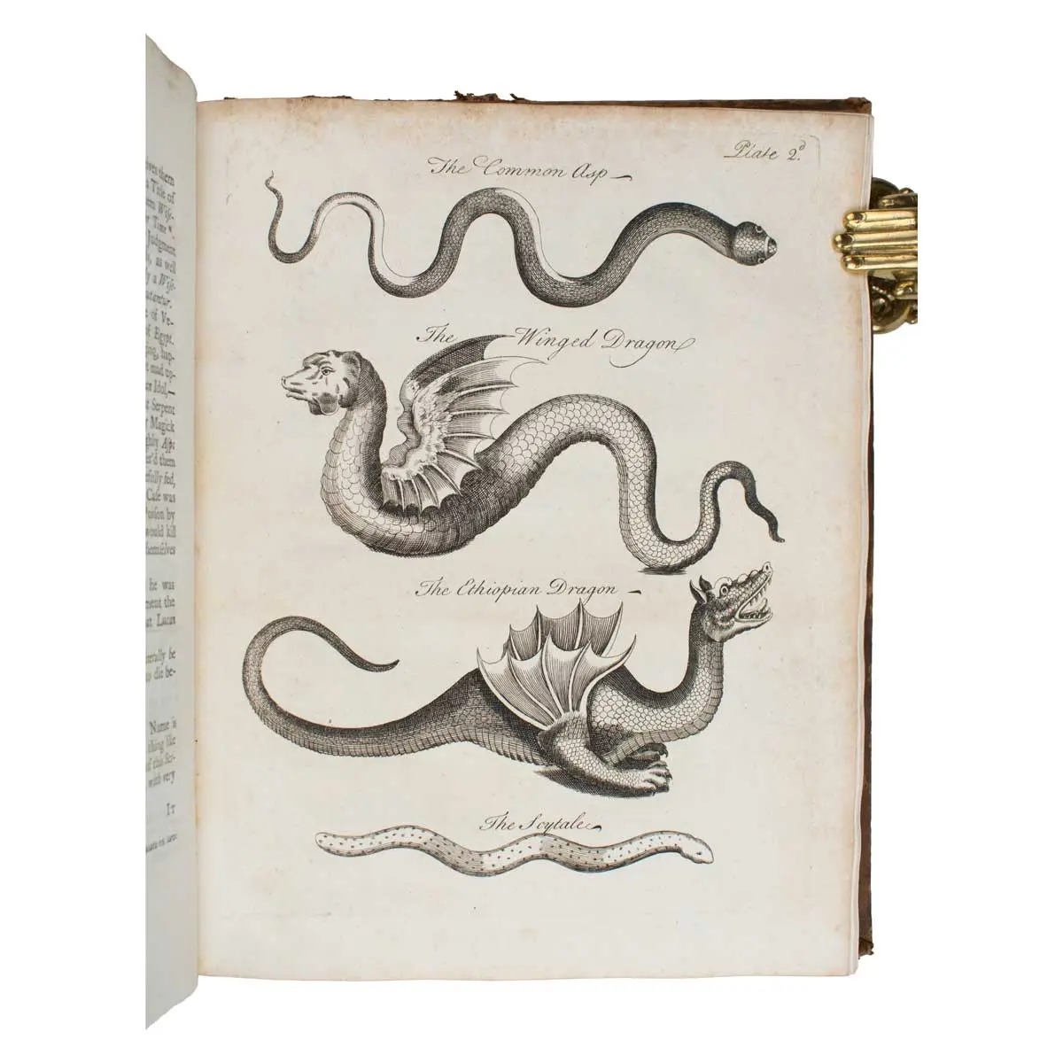 An essay towards a Natural History of Serpents: In Two Parts