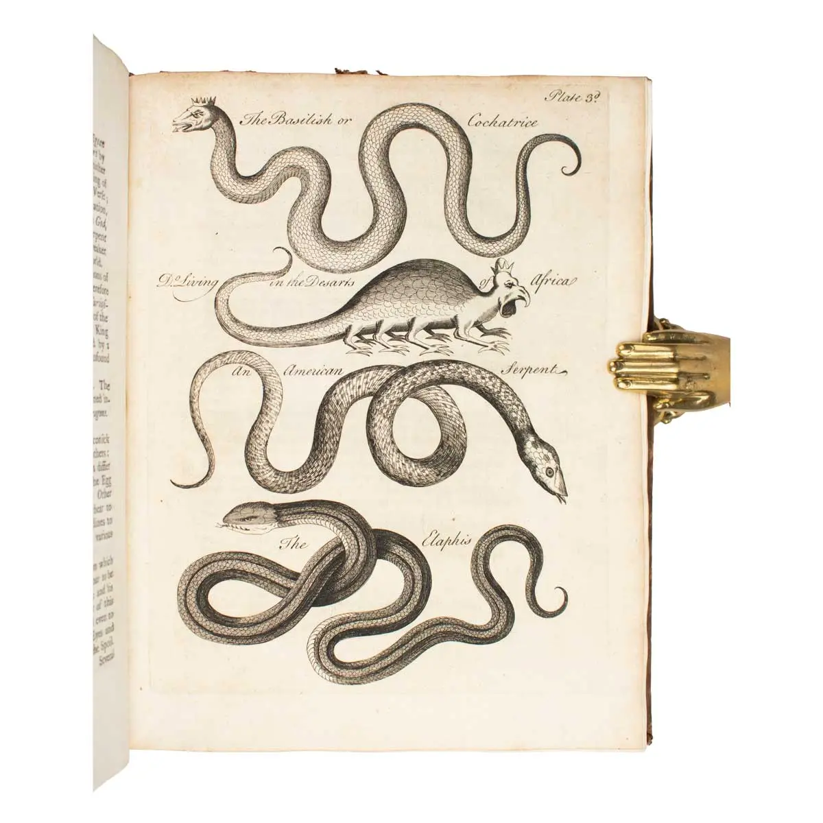 An essay towards a Natural History of Serpents: In Two Parts (3)