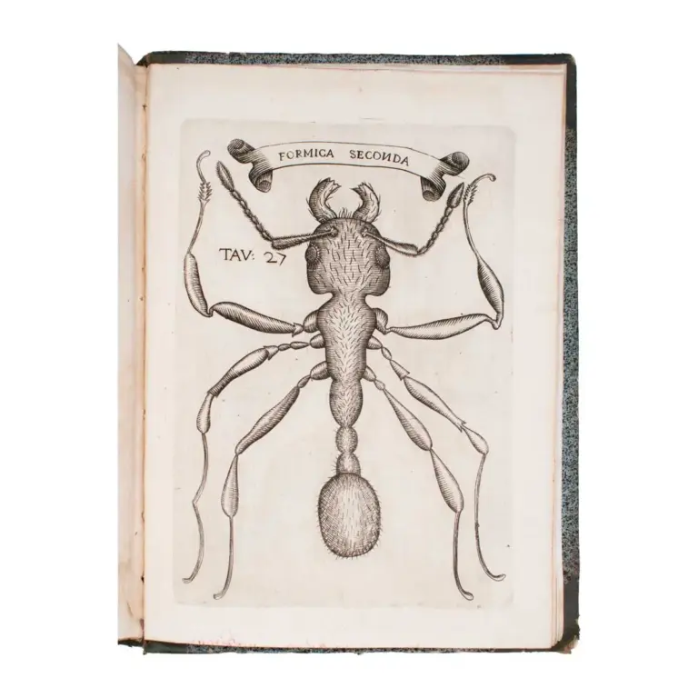 Esperienze intorno alla generazione degl’insetti … in una lettera all’illustrissimo signor Carlo Dat
