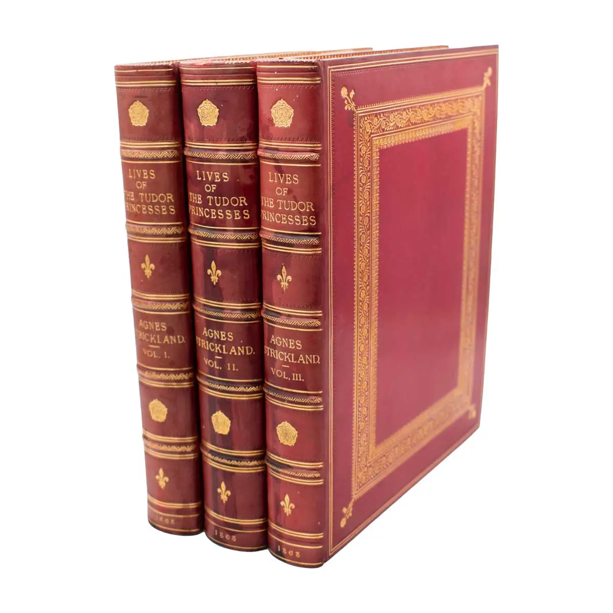 Lives of the Tudor Princesses including Lady Jane Grey and her Sisters (6)