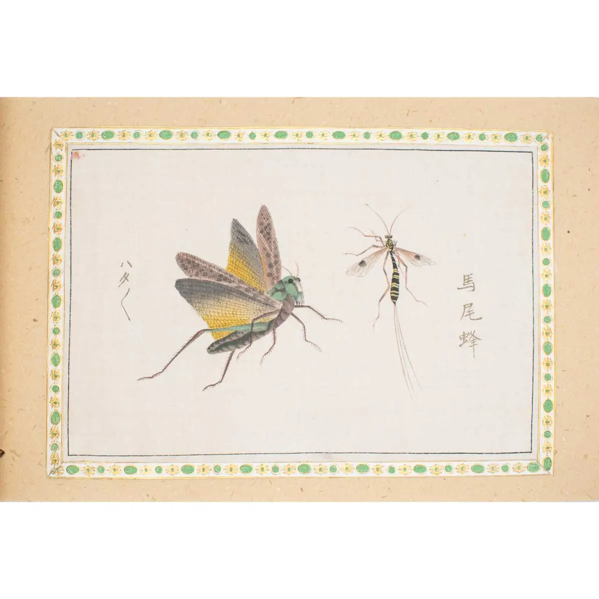 A Collection of 12 pages of Gouache Paintings of Insects of Reptiles (9)