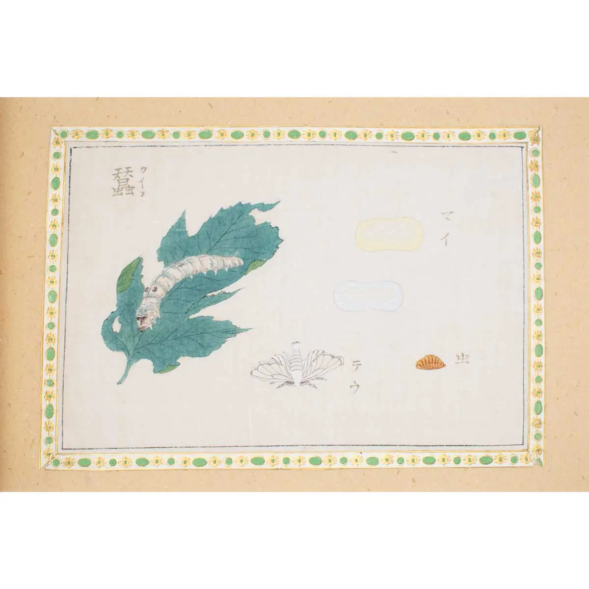 A Collection of 12 pages of Gouache Paintings of Insects of Reptiles (10)