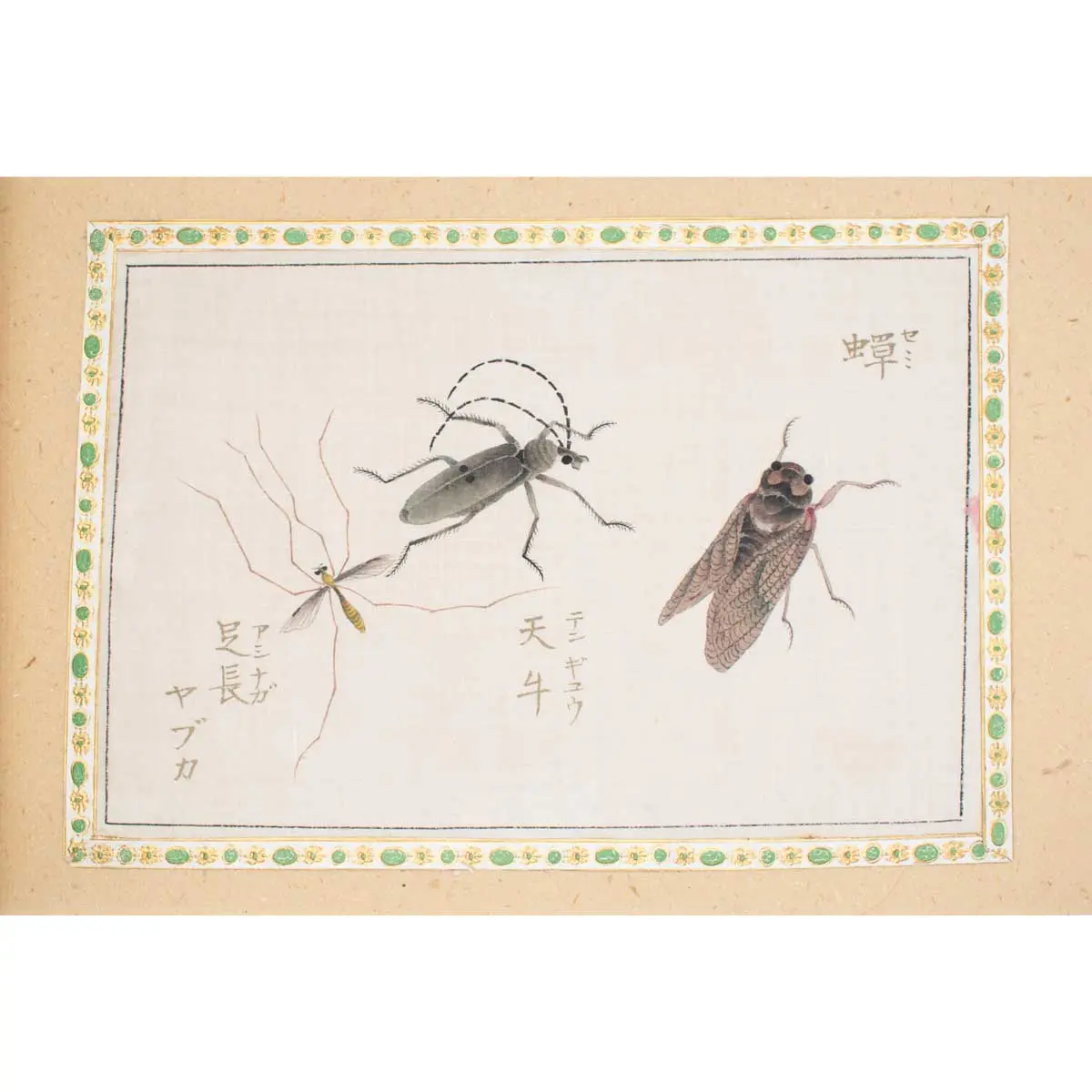 A Collection of 12 pages of Gouache Paintings of Insects of Reptiles (11)