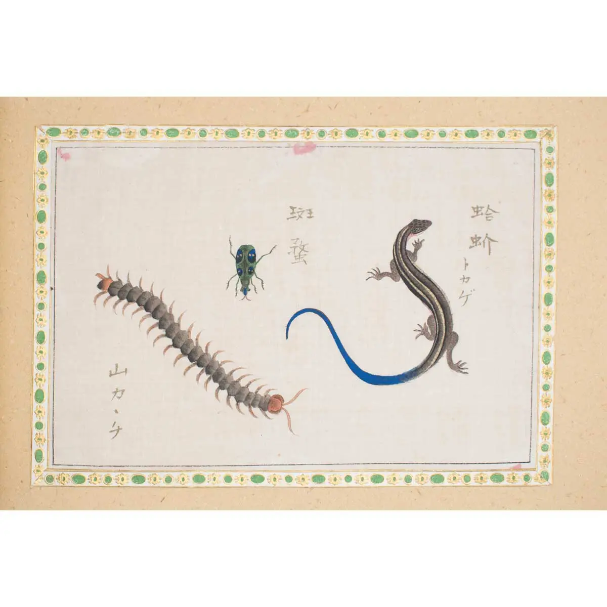 A Collection of 12 pages of Gouache Paintings of Insects of Reptiles (12)