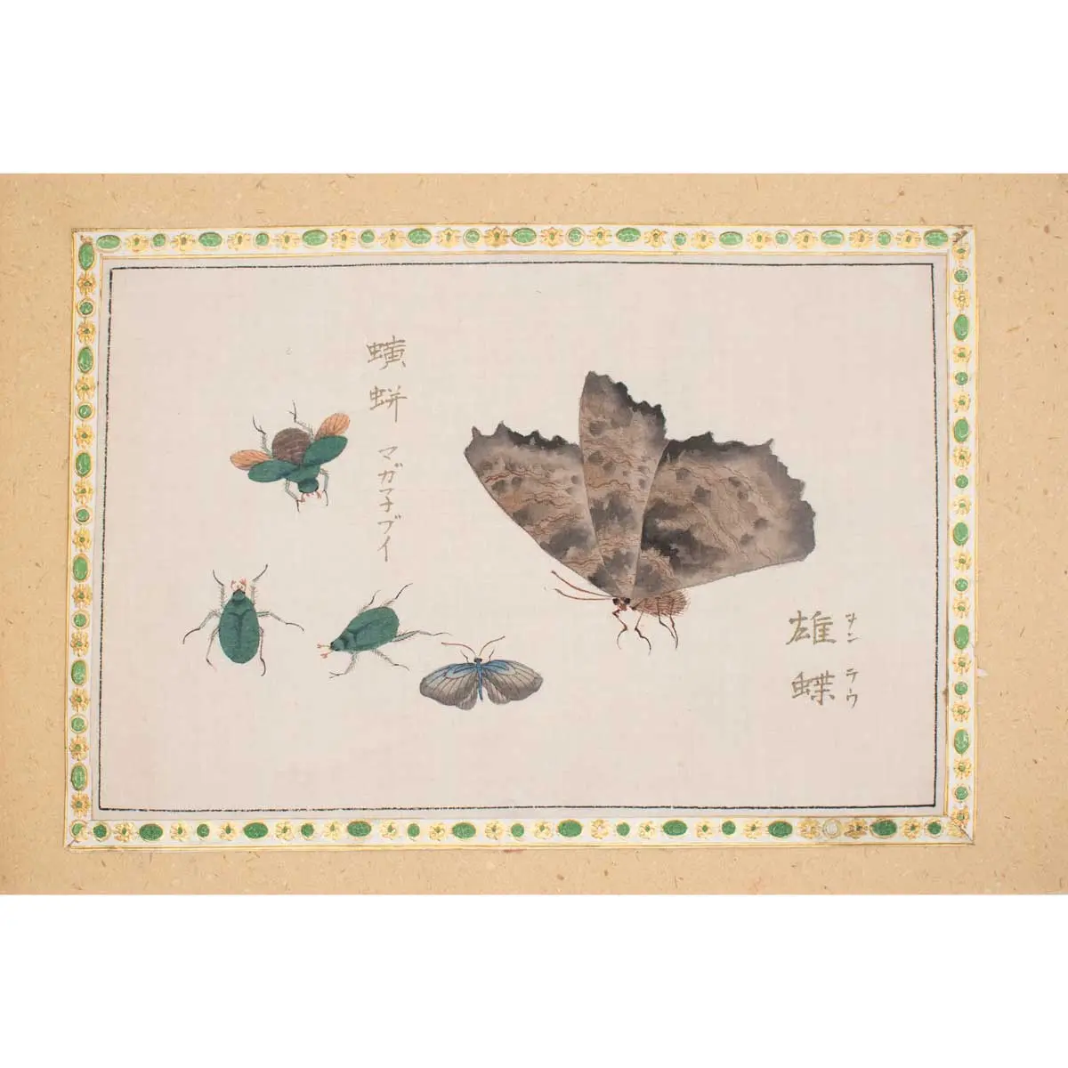 A Collection of 12 pages of Gouache Paintings of Insects of Reptiles (3)
