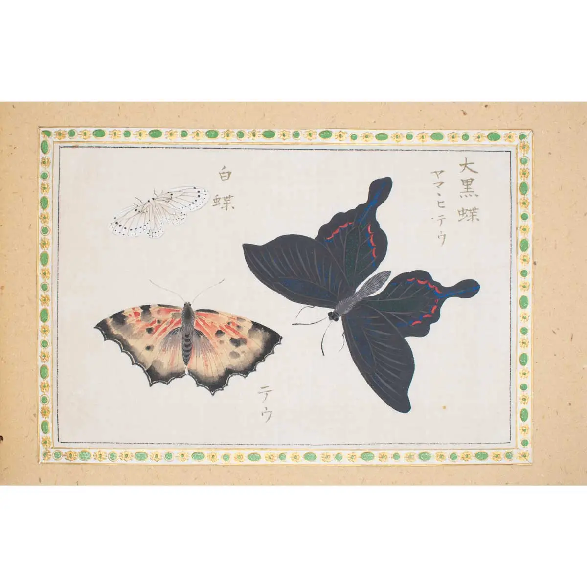 A Collection of 12 pages of Gouache Paintings of Insects of Reptiles (2)