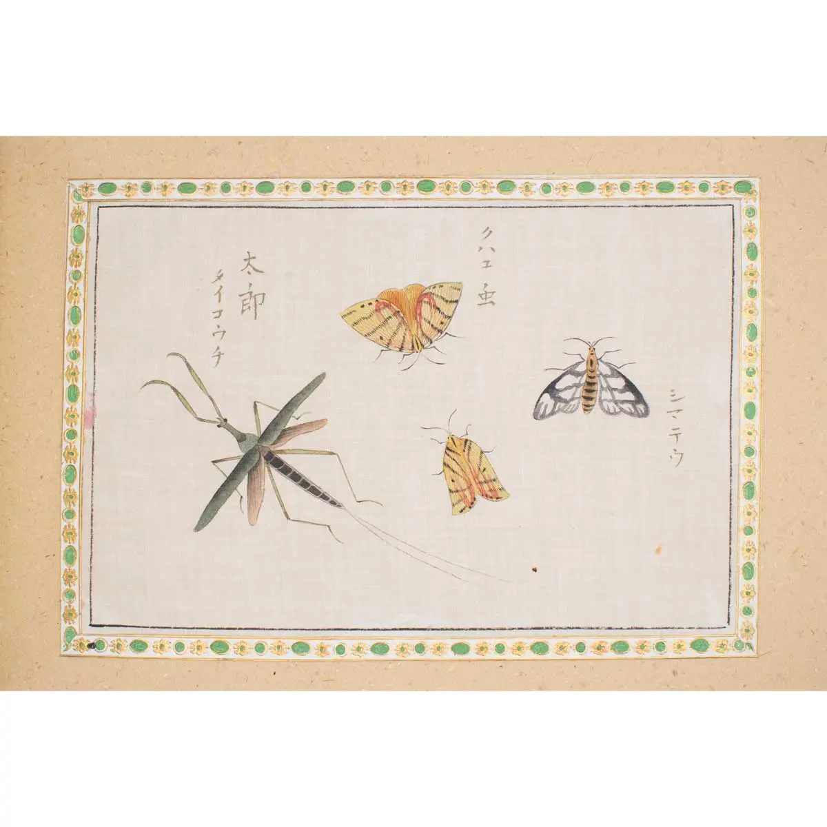 A Collection of 12 pages of Gouache Paintings of Insects of Reptiles (4)