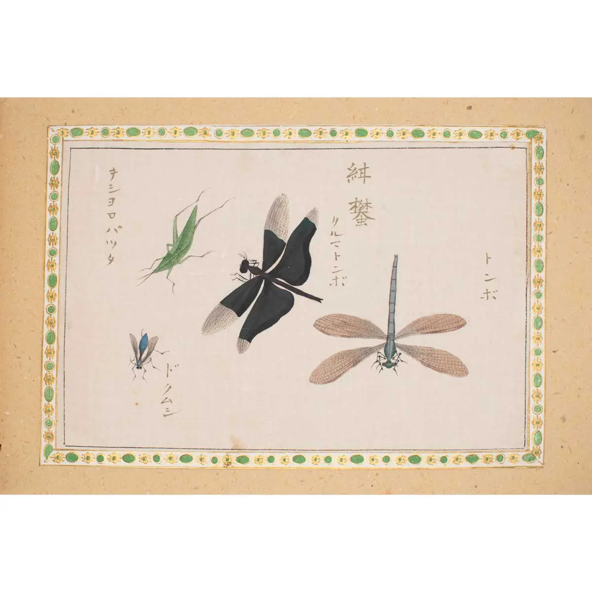 A Collection of 12 pages of Gouache Paintings of Insects of Reptiles (5)