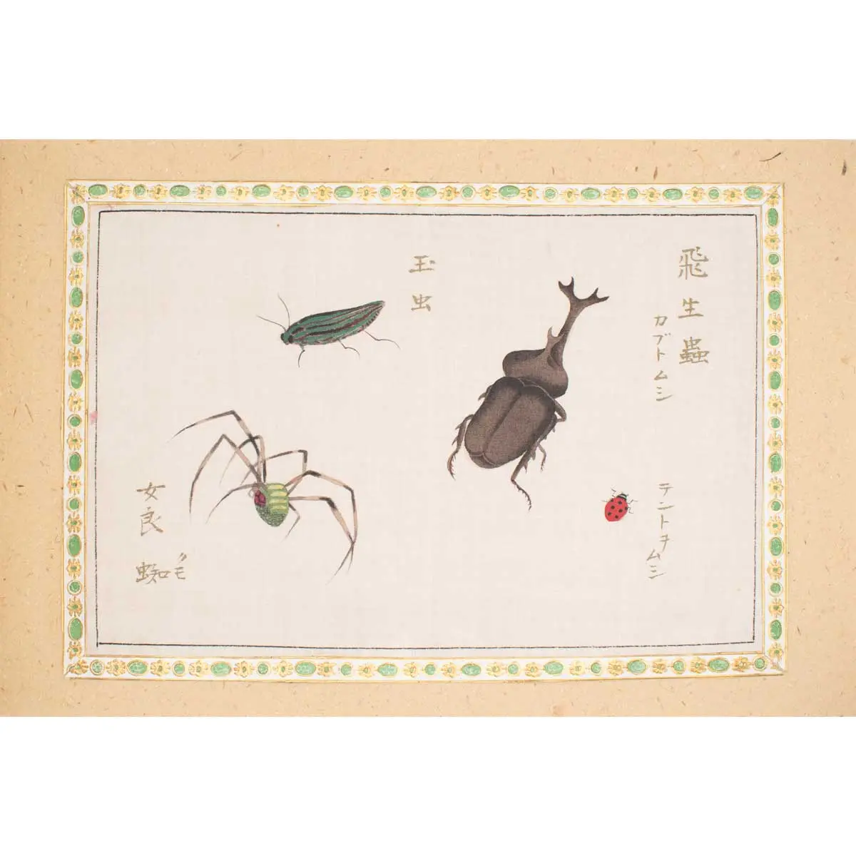 A Collection of 12 pages of Gouache Paintings of Insects of Reptiles (6)