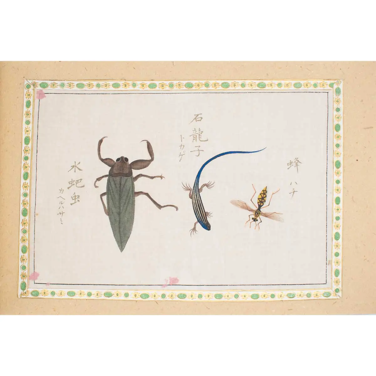 A Collection of 12 pages of Gouache Paintings of Insects of Reptiles (7)