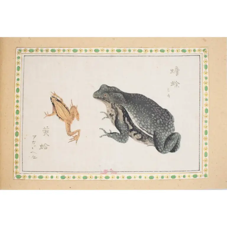 A Collection of 12 pages of Gouache Paintings of Insects of Reptiles