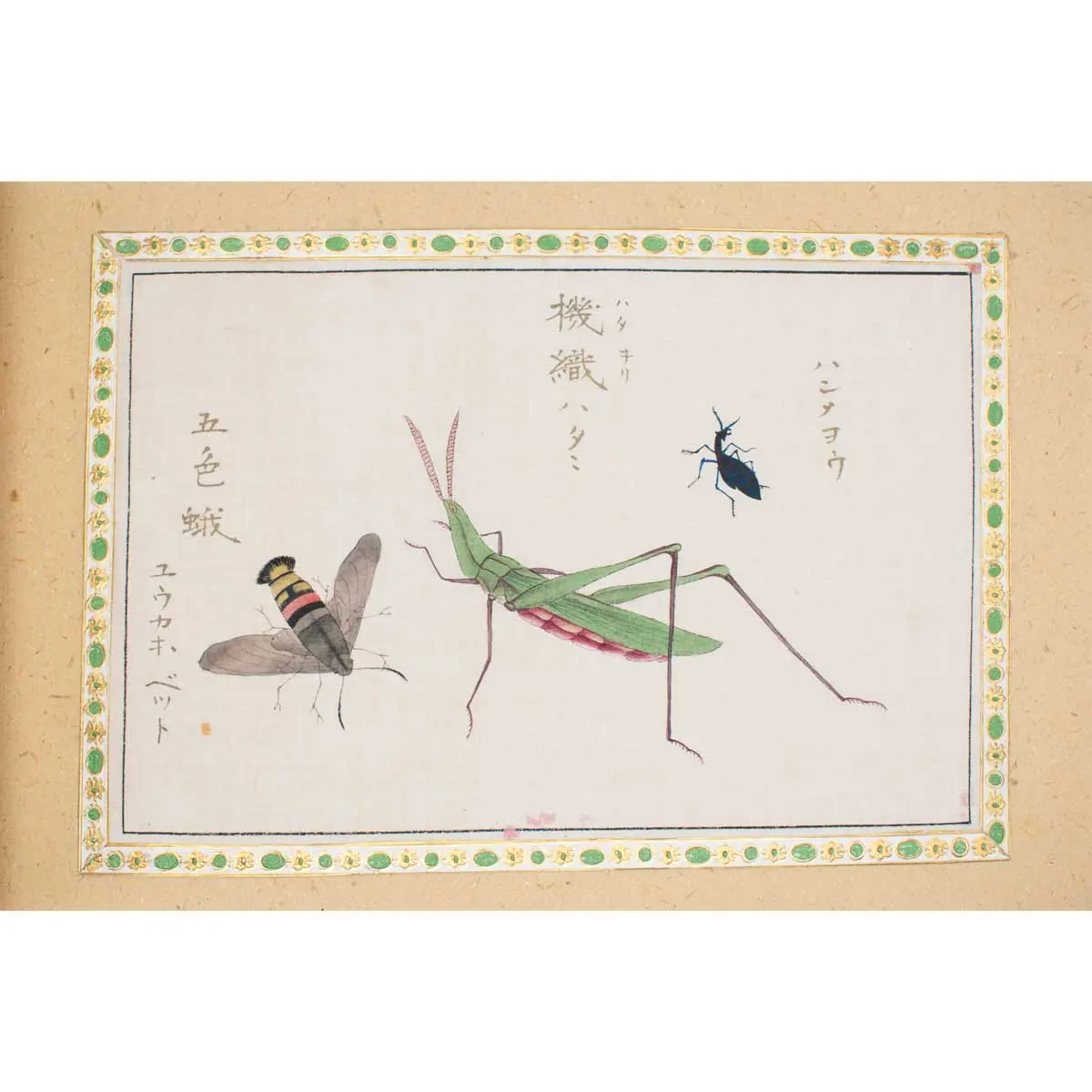 A Collection of 12 pages of Gouache Paintings of Insects of Reptiles (8)