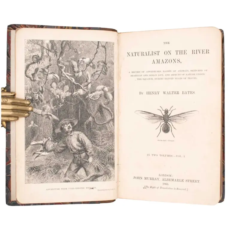 The Naturalist on the River Amazons