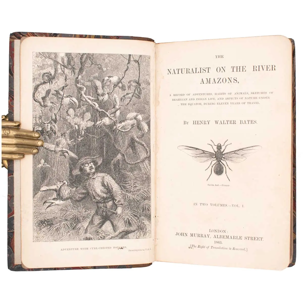 The Naturalist on the River Amazons
