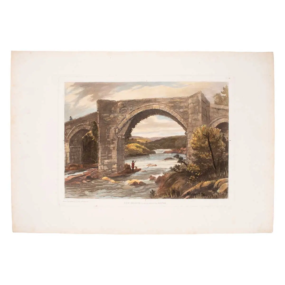 Scenery of the River Dart, Being a Series of Thirty-Five Views, Representing the most interesting features in its Course, from its Source in the mildest & most uncultivated parts of Dartmoor