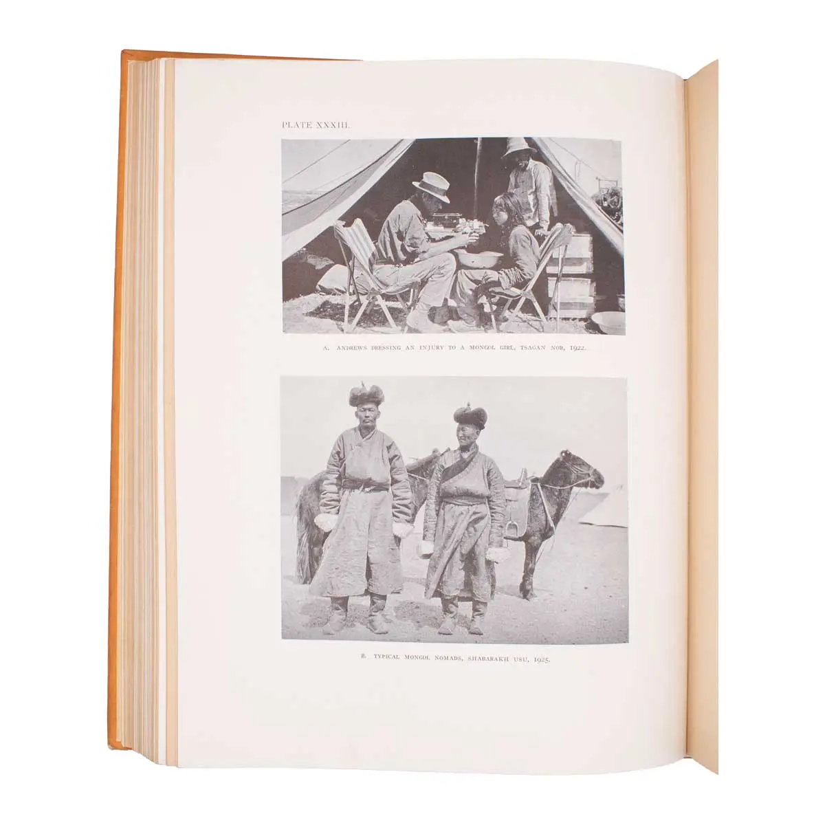 Natural History of Central Asia.  (7)