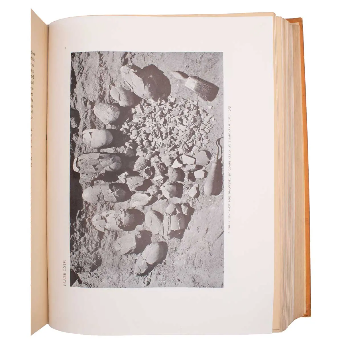 Natural History of Central Asia. 