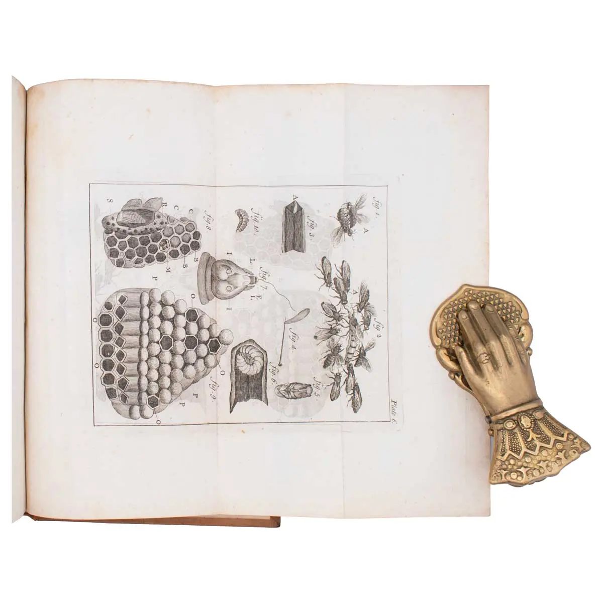 The Natural History of Bees. Containing an Account of their Production, their Oeconomy, the manner of their making Wax and Honey, and the best Methods for the Improvement and Preservation of them (3)