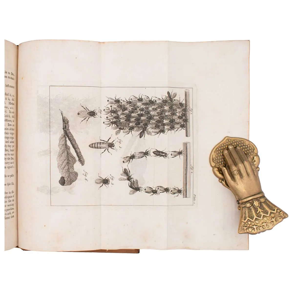 The Natural History of Bees. Containing an Account of their Production, their Oeconomy, the manner of their making Wax and Honey, and the best Methods for the Improvement and Preservation of them (4)