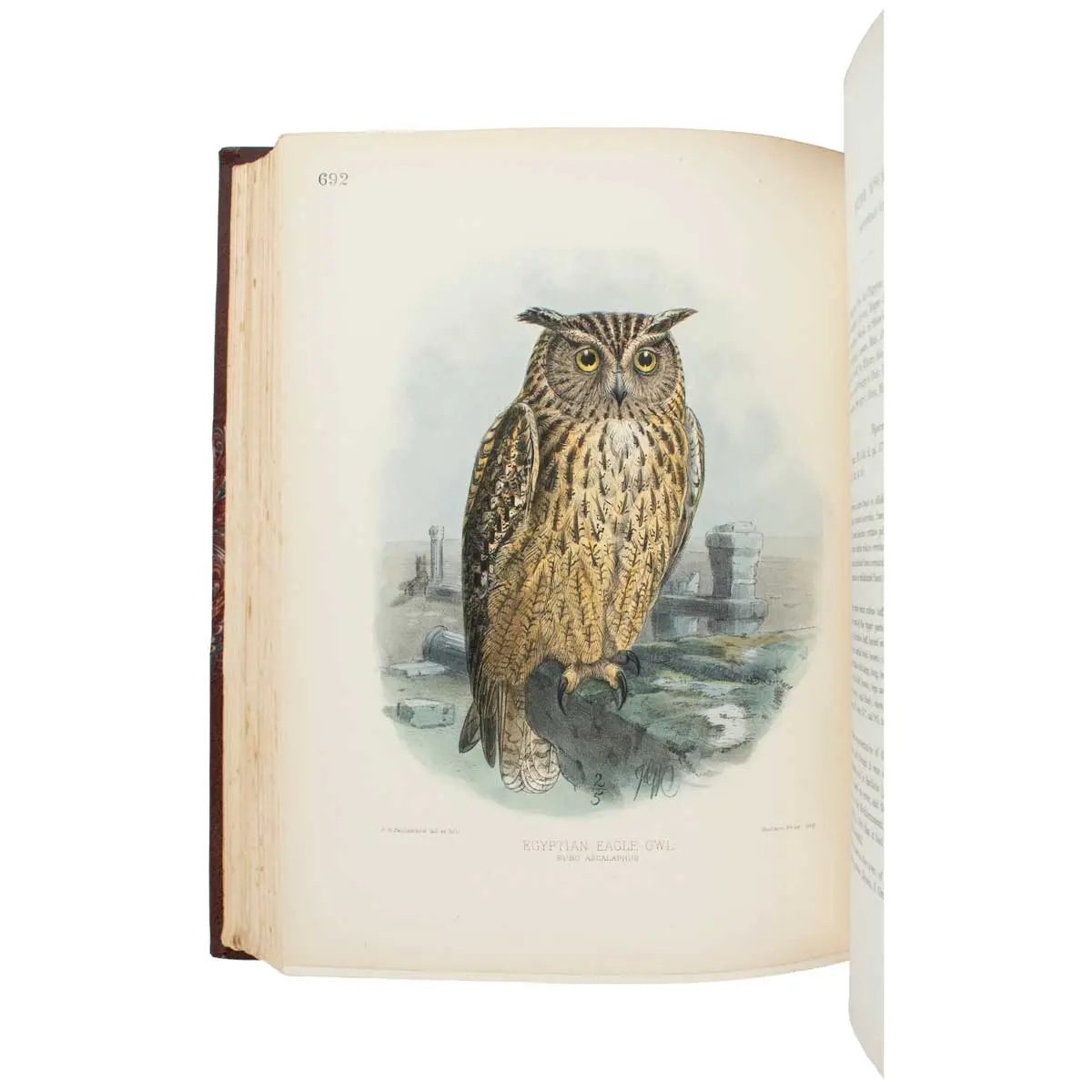 A History of the Birds of Europe, including all the species inhabiting the western Palaearctic Regions.