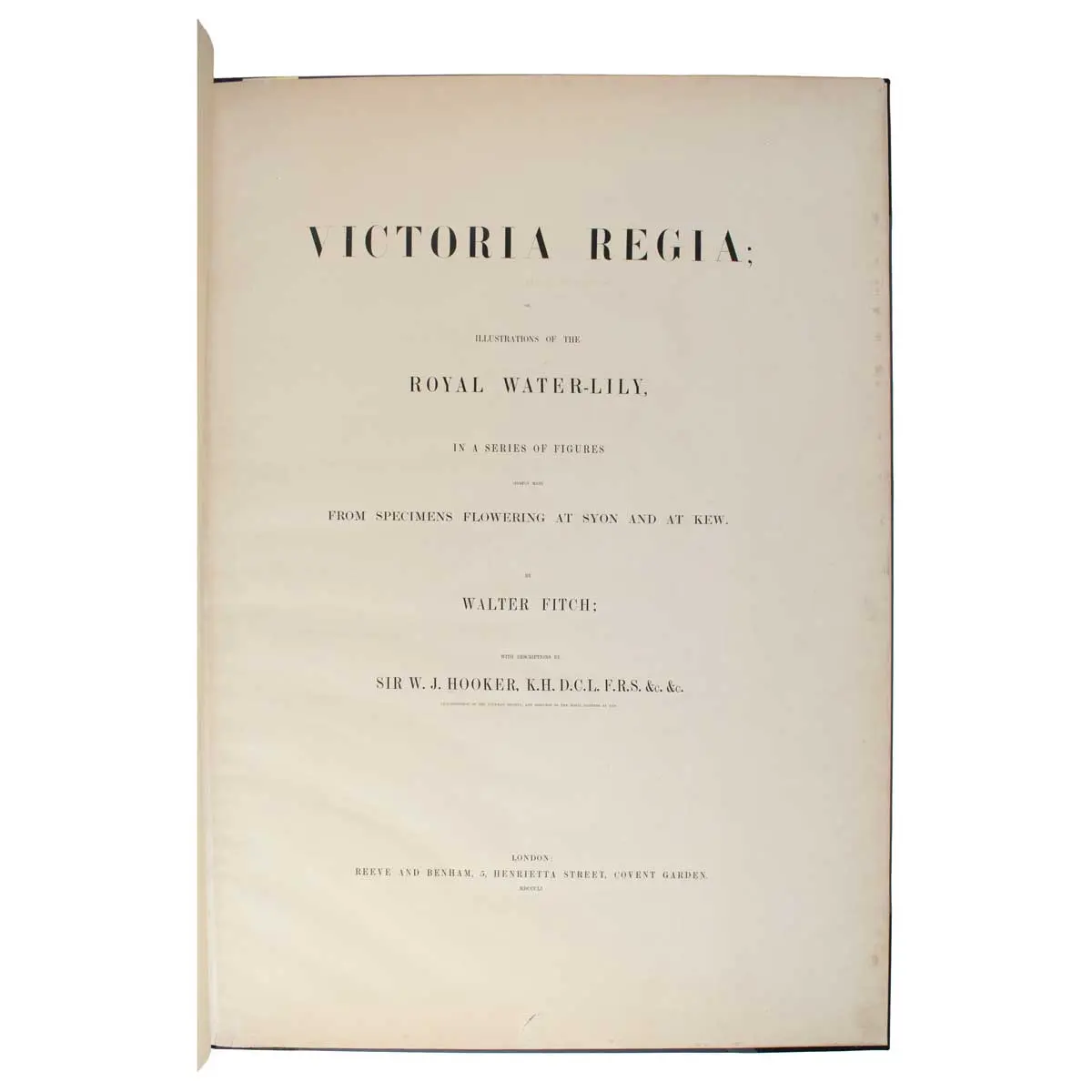 Victoria Regia, or illustrations of the Royal Water-Lily, in a series of figures chiefly made from specimens flowering at Syon and at Kew (4)