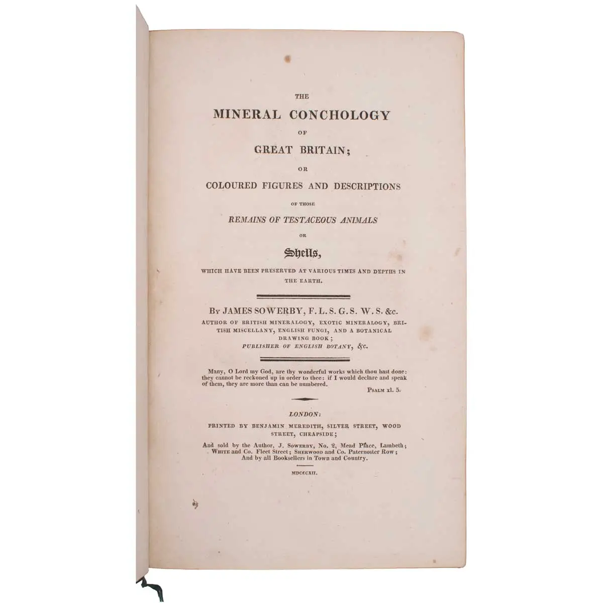 The Mineral Conchology of Great Britain, or Coloured Figures and Descriptions of those Remains of Testaceous Animals or Shells which Have Been Preserved at Various Times and Depths in the Earth (9)