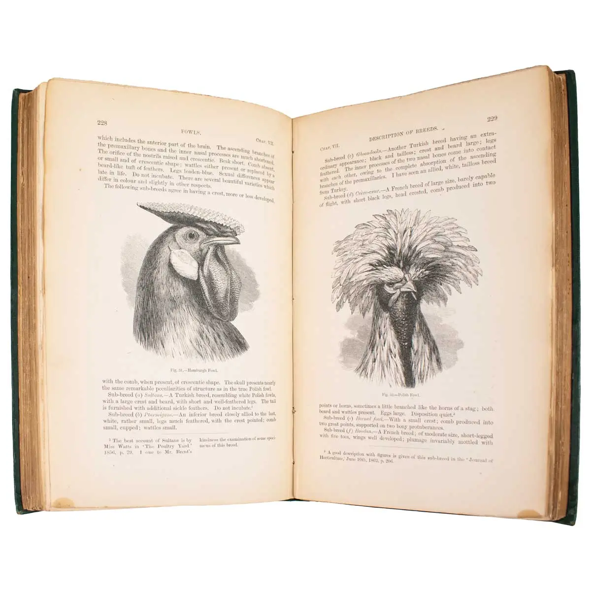 The Variation of Animals and Plants Under Domestication (3)