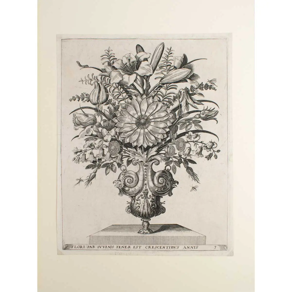 [Six Bunches of Flowers in Vases] A Suite of Emblematic Florilegium Engravings (2)