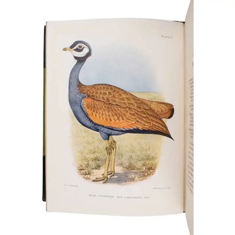 The Game-Birds and Water-Fowl of South Africa.
