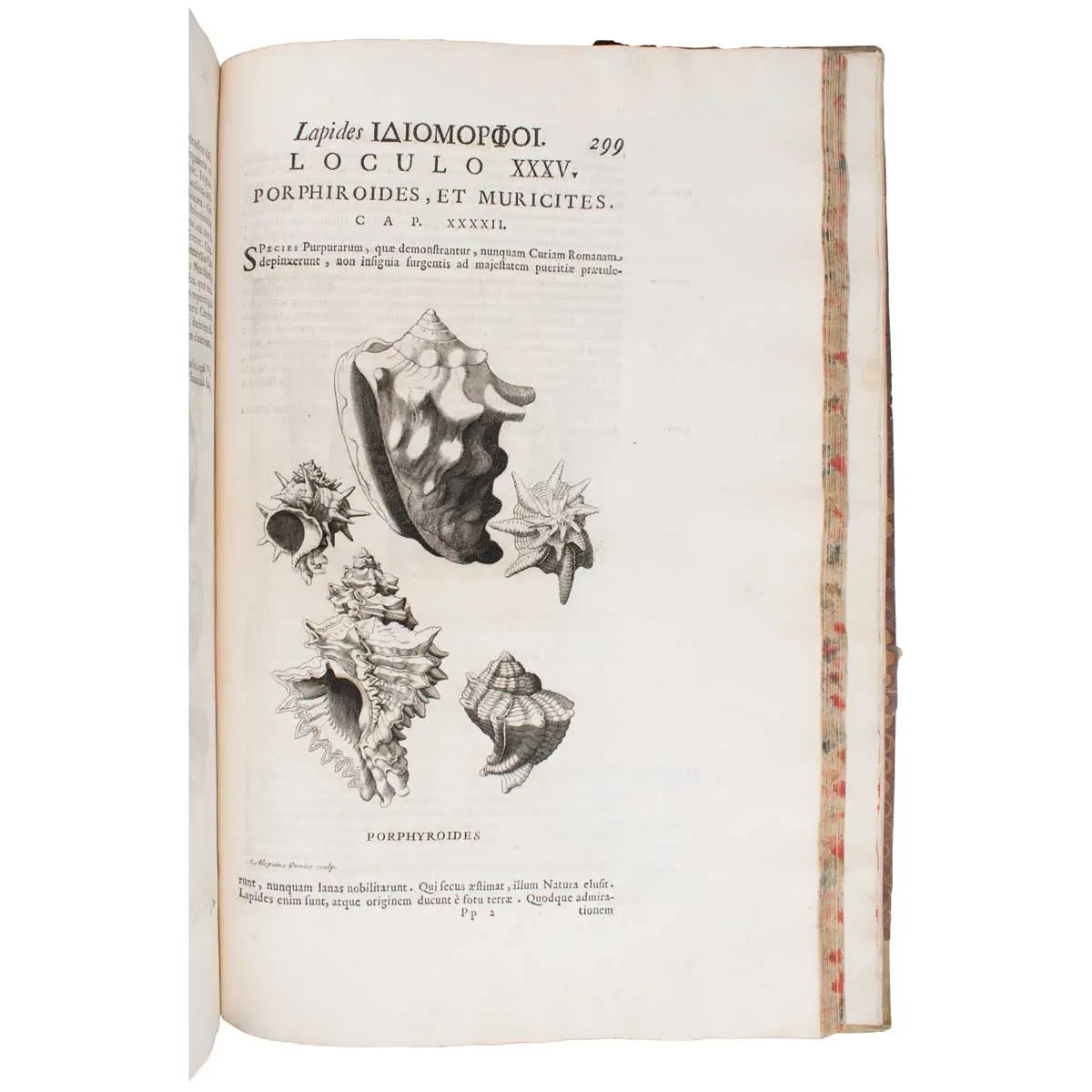 Metallotheca. Opus posthumum, auctoritate, & munificentia Clementis undecemi PontificisMaximi ex tenebris in lucem eductum; Opera autem, & studio Joannis Mariae Lancisii… illustratum (4)