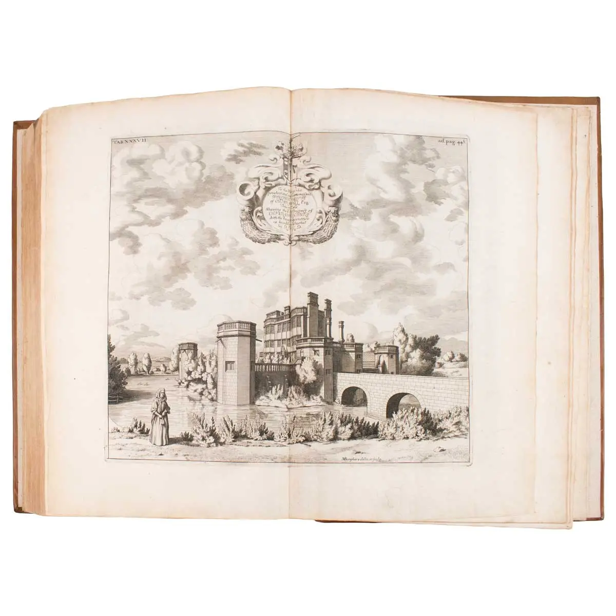 The Natural History of Staffordshire (4)