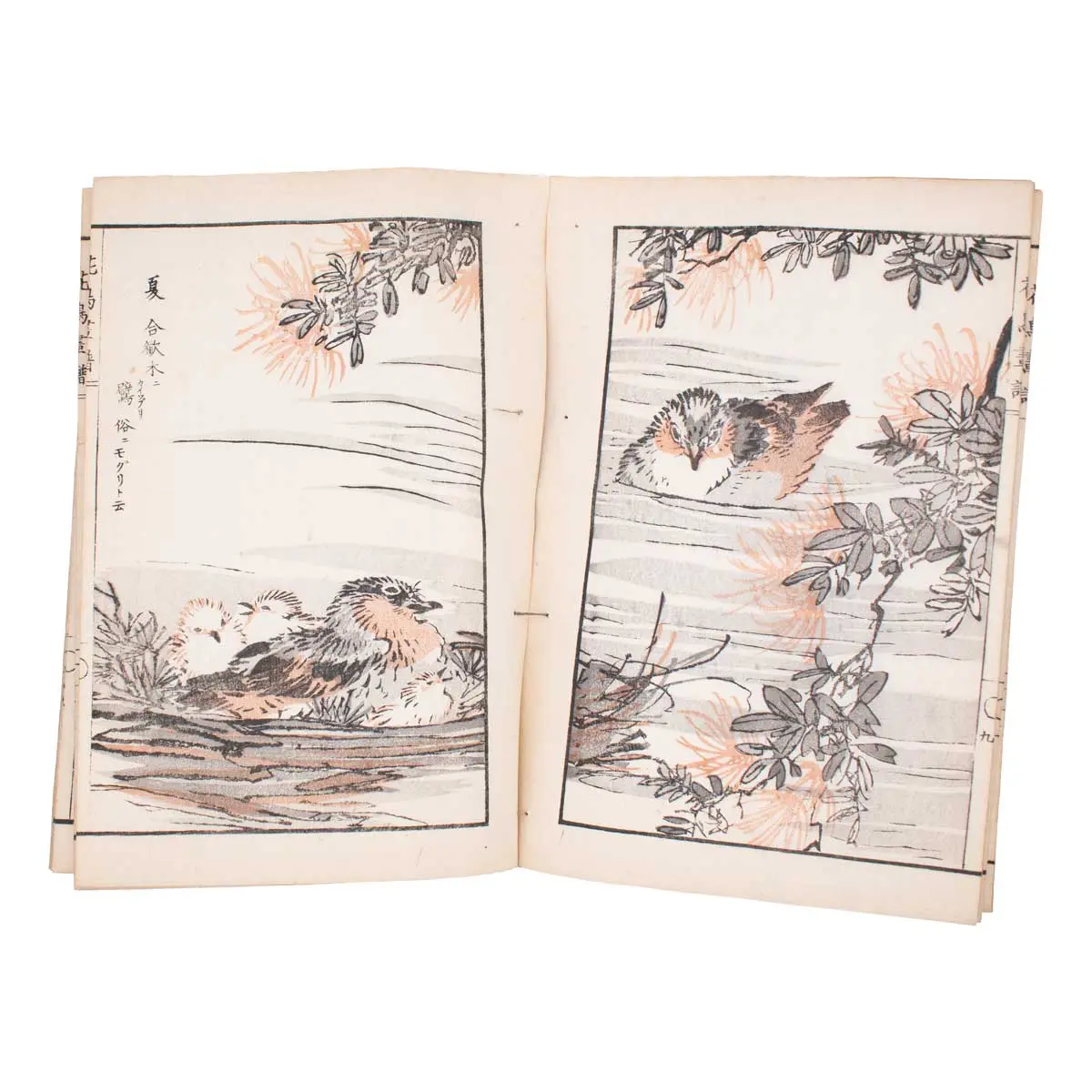 Kacho gafu 花鳥画譜 [Album of Birds and Flowers] (2)