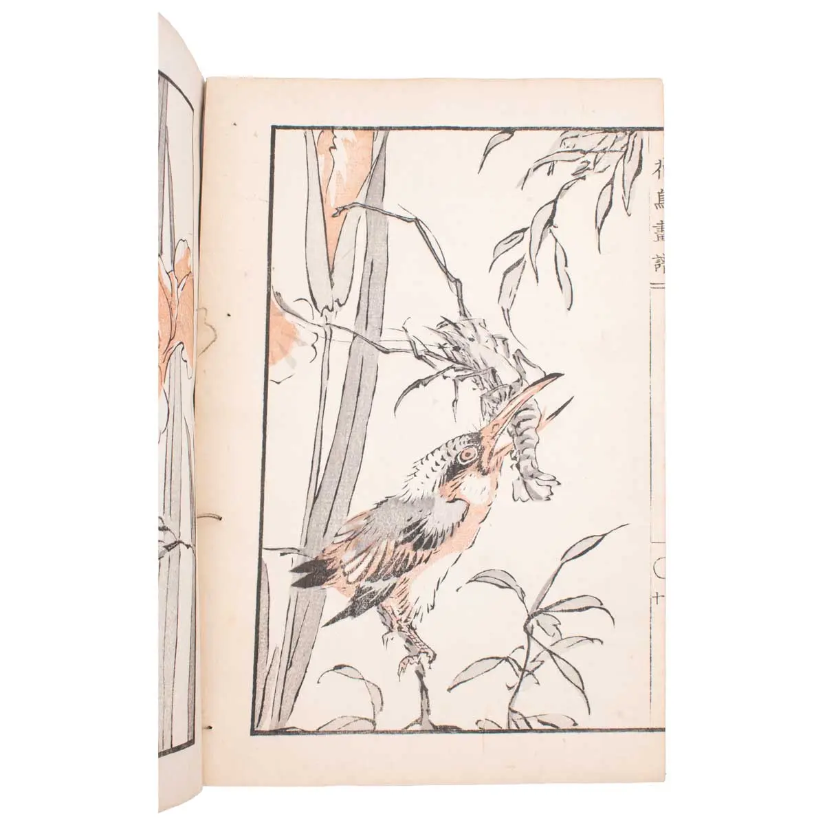 Kacho gafu 花鳥画譜 [Album of Birds and Flowers] (3)