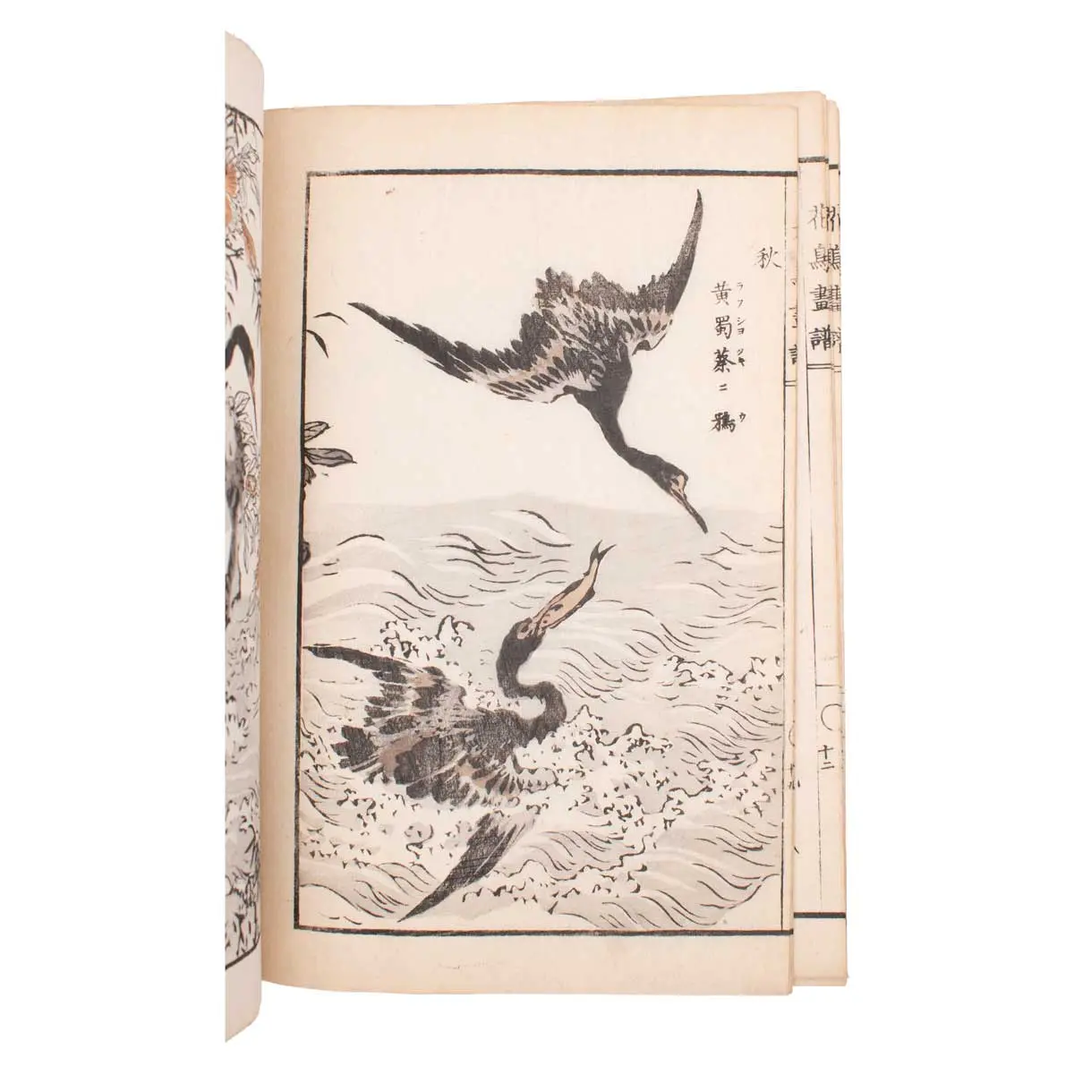 Kacho gafu 花鳥画譜 [Album of Birds and Flowers] (4)