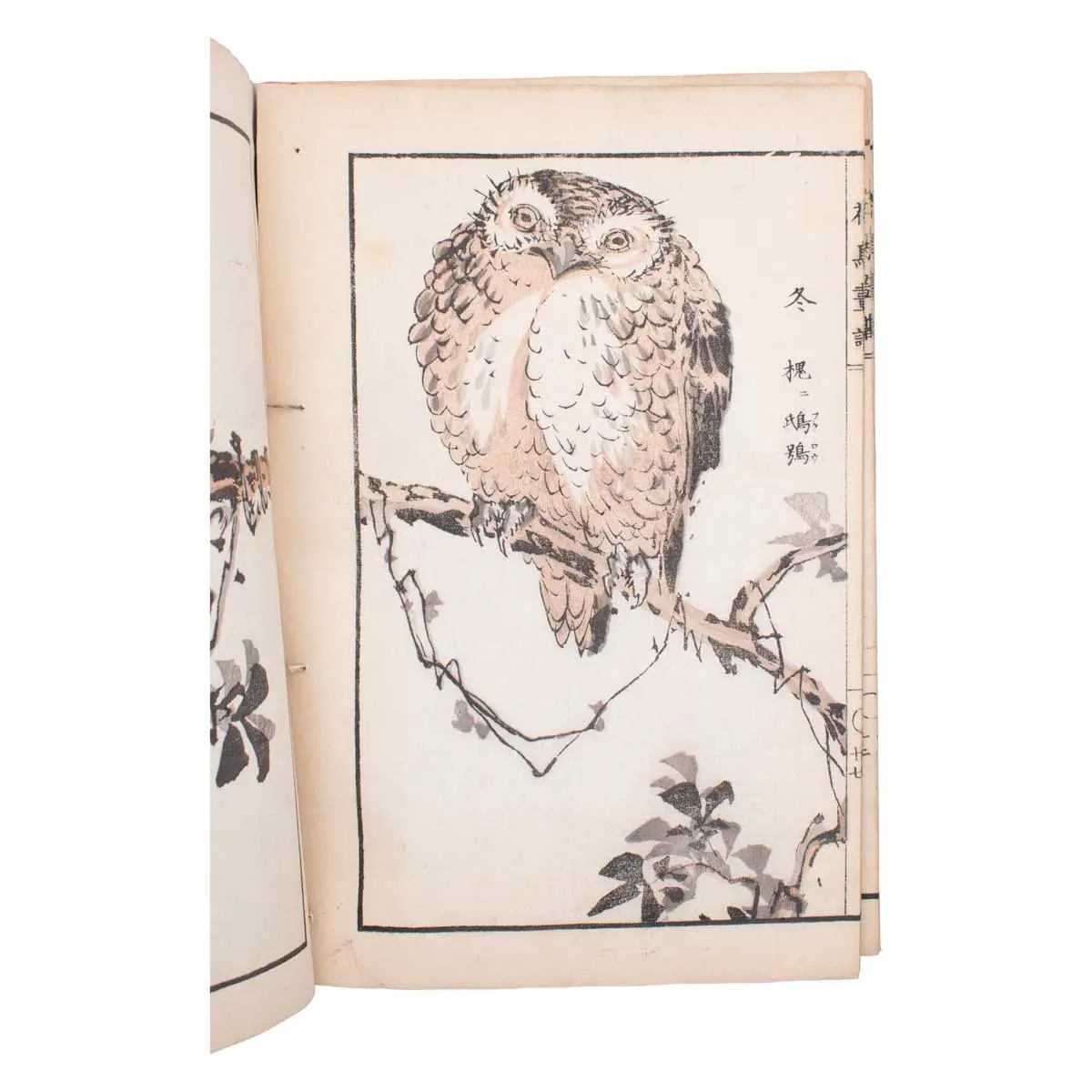 Kacho gafu 花鳥画譜 [Album of Birds and Flowers] (5)