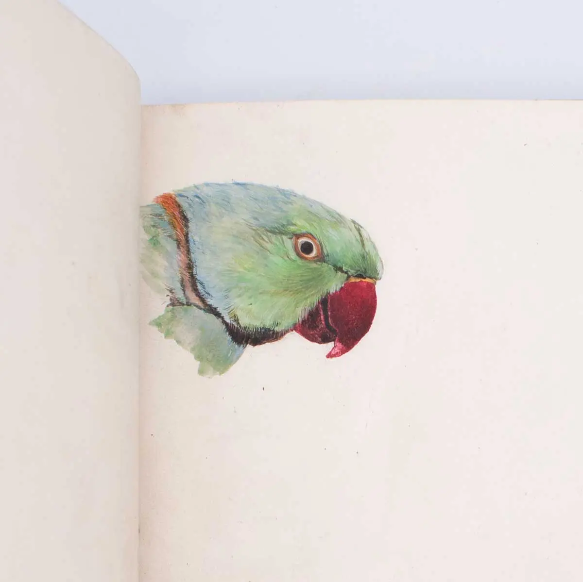Vellum Notebook – India (4)