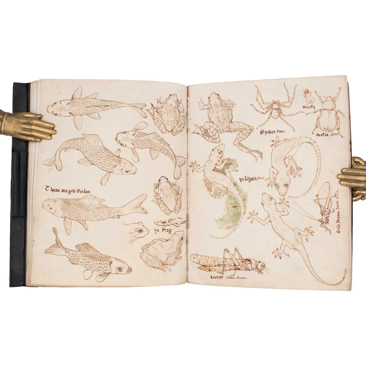 Vellum Notebook - India