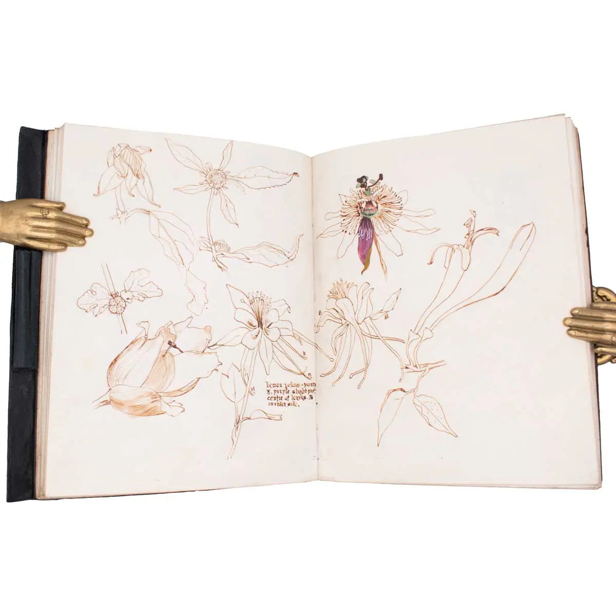 Vellum Notebook – India (3)