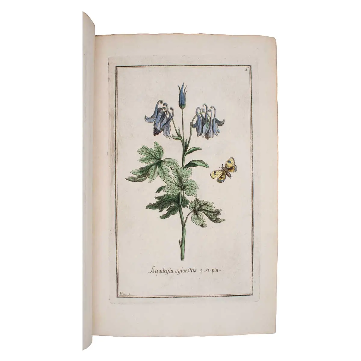 Histoire des plantes qui naissent aux environs d’Aix, et dans plusieurs autres endroits de la Provence (5)