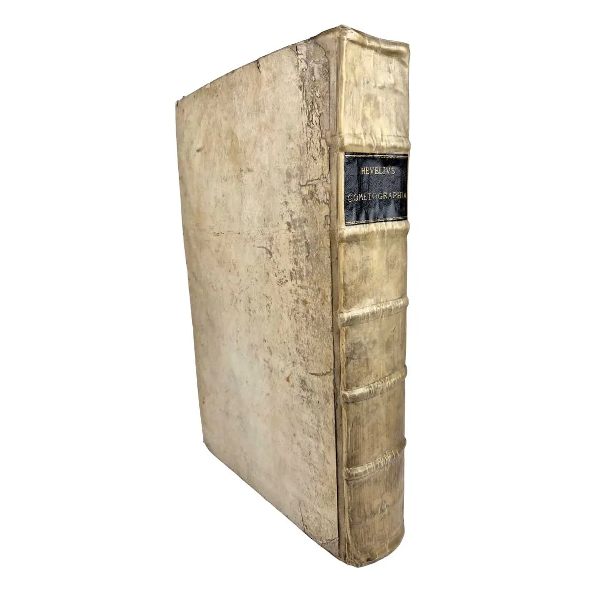 Cometographia, totam naturam cometarum; utpote sedem, parallaxes, distantias, ortum & interitum, capitum, caudarumque diversas facies, affectionesque, nec non motum eorumsumme admirandum & In qua (8)