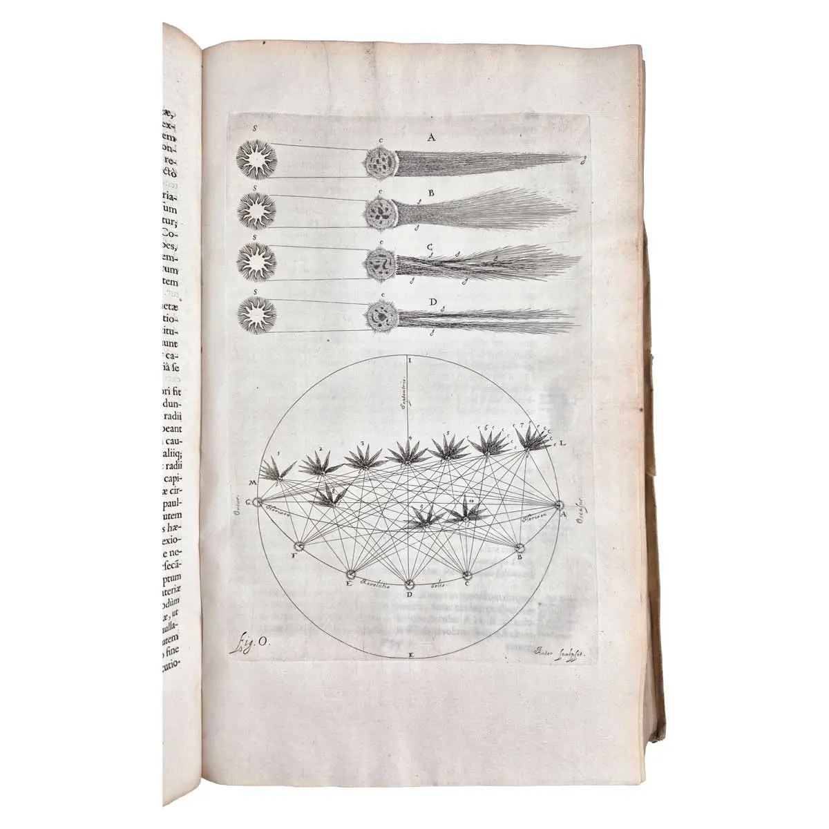 Cometographia, totam naturam cometarum; utpote sedem, parallaxes, distantias, ortum & interitum, capitum, caudarumque diversas facies, affectionesque, nec non motum eorumsumme admirandum & In qua (5)