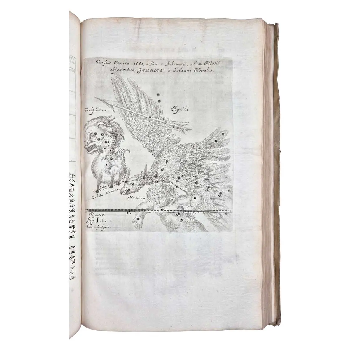 Cometographia, totam naturam cometarum; utpote sedem, parallaxes, distantias, ortum & interitum, capitum, caudarumque diversas facies, affectionesque, nec non motum eorumsumme admirandum & In qua (6)