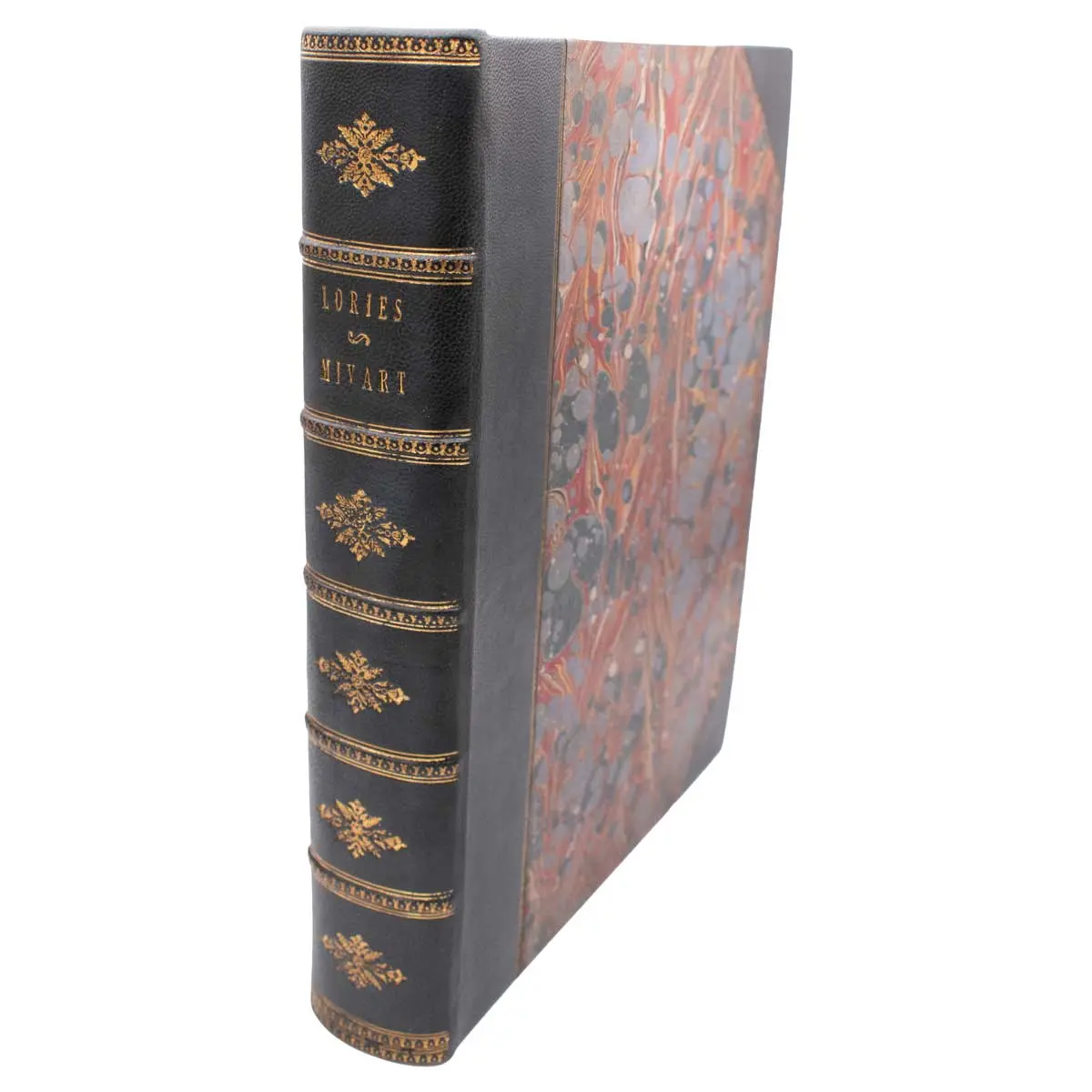 A Monograph of the Lories, or Brush-Tongued Parrots, composing the family Loriidae (6)